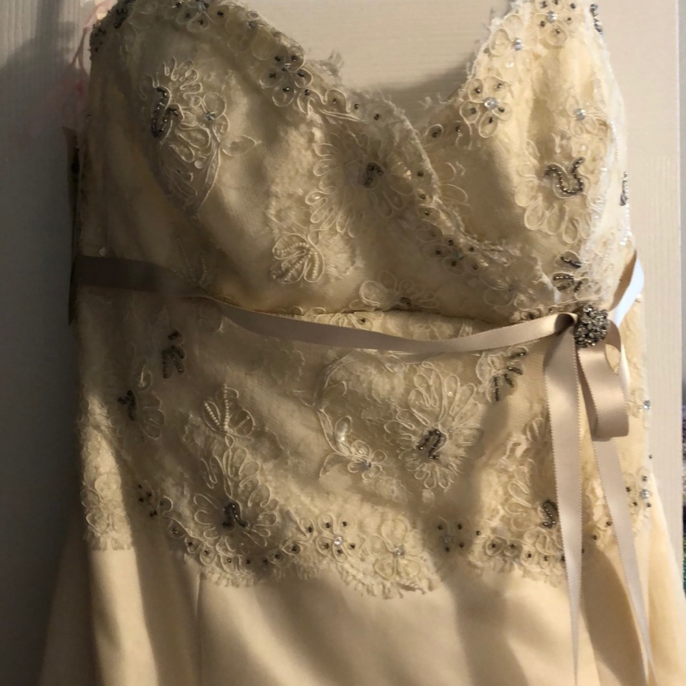 Wedding Dress - Picture 2 of 5